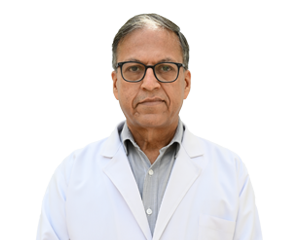 Dr. Pramod K. Arora