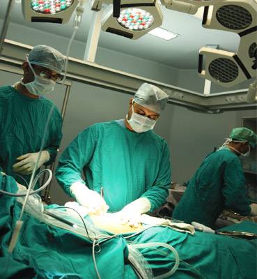 Kidney Transplant Services